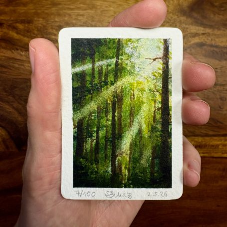 Lichtstrahlen durch einen dichten Wald, grüne Blätter und natürliche Schönheit.
