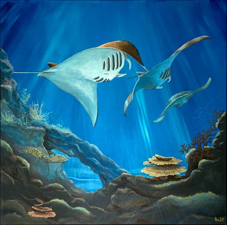 Drei Mantarochen schwimmen hintereinander durch eine blau schimmernde Unterwasserszene mit Korallen.